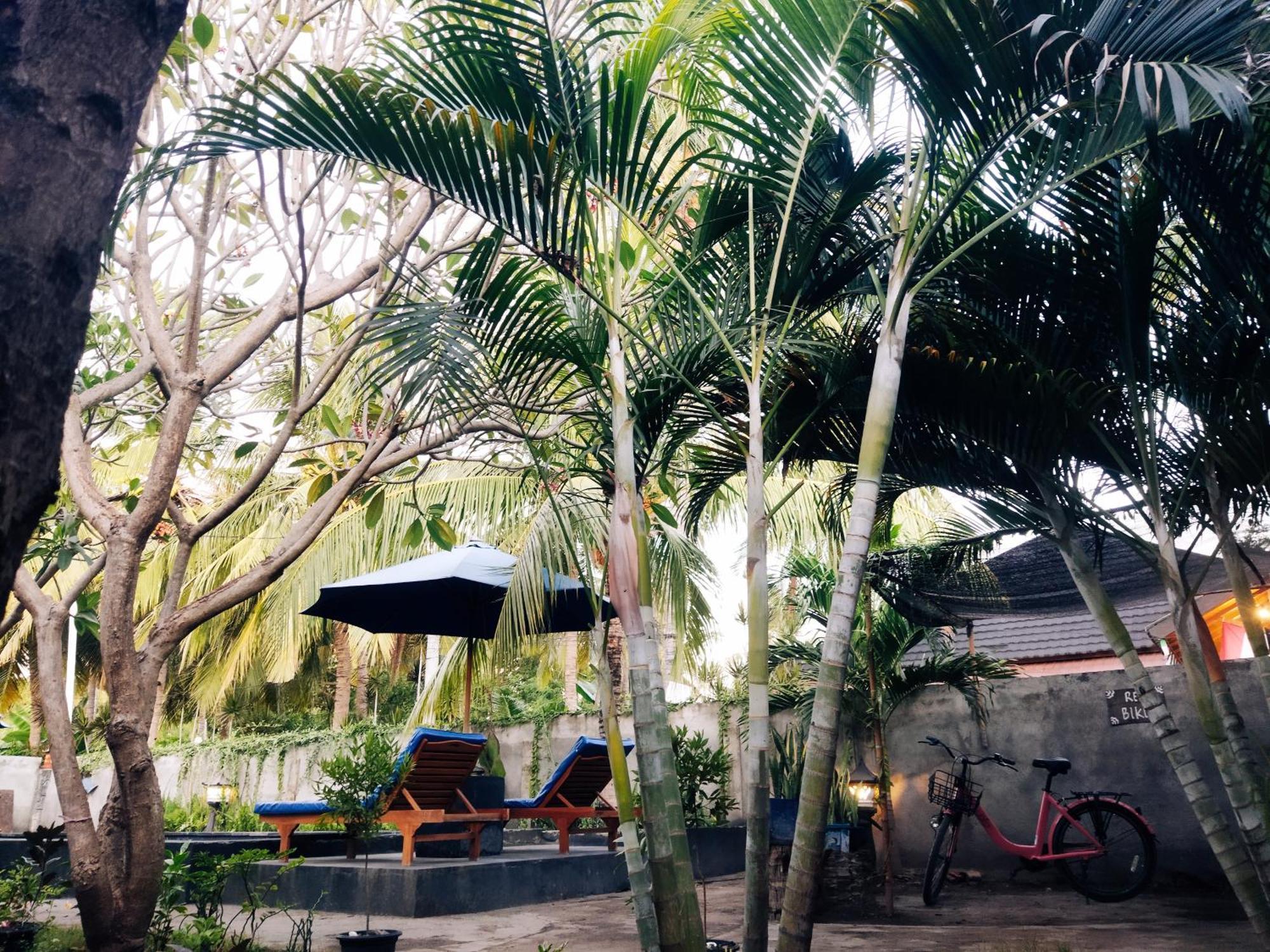 Balengku Homestay Гили-Эйр Экстерьер фото