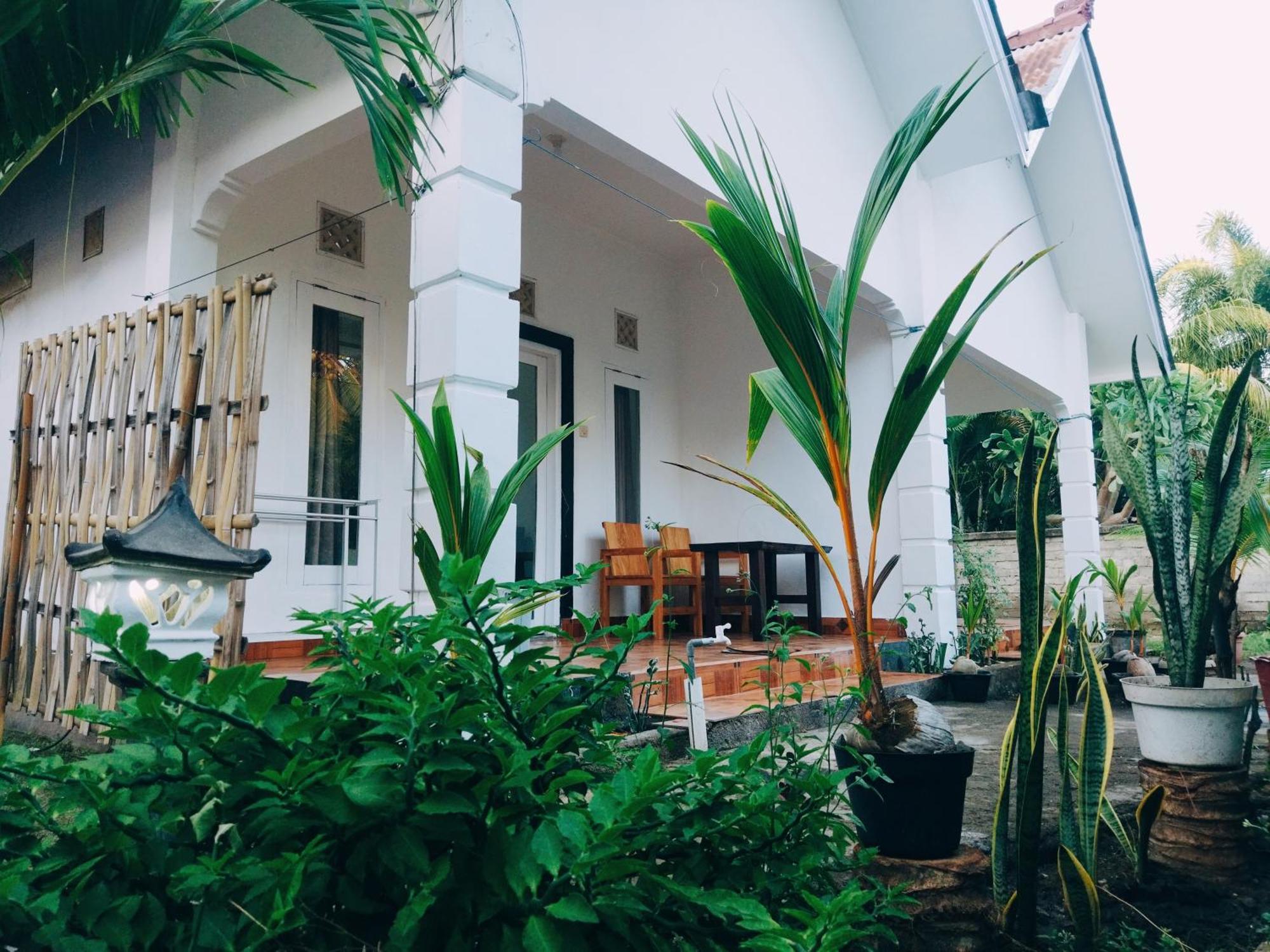 Balengku Homestay Гили-Эйр Экстерьер фото